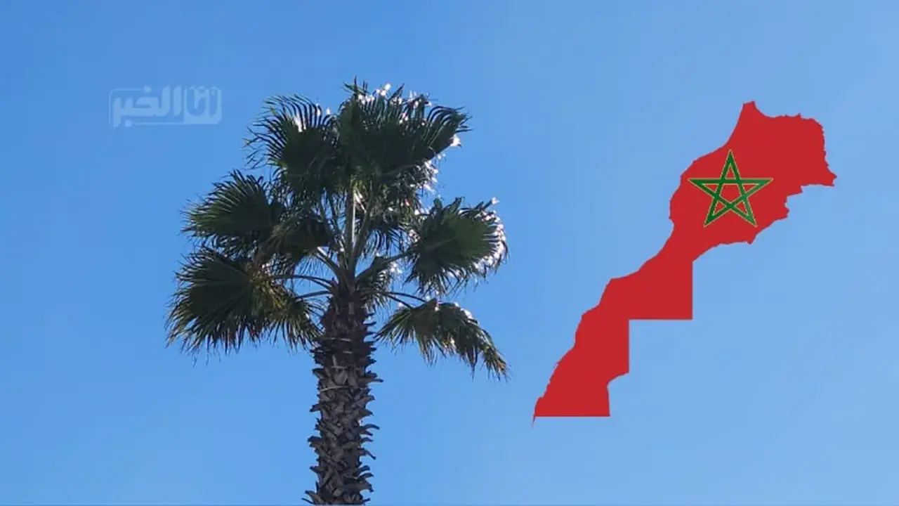 طقس المغرب غداً: حرارة مرتفعة ورياح قوية مع غبار